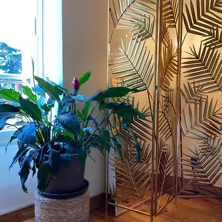 Chateau Du Caperan B&B *