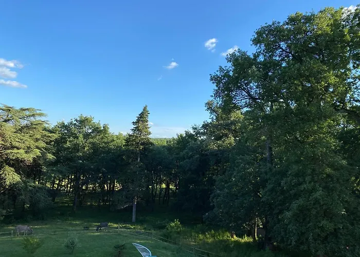 Couette-café Château du Capéran Fontenilles